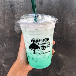 นมสดมินต์เย็น