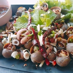 ก้อยหอยโข่งนา