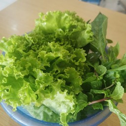 เพิ่มผัก