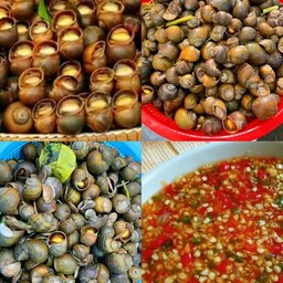 หอยโข่งนาลวกจิ้ม