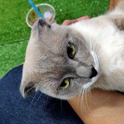 อย่ามองตาได้มั๊ยถ้าเธอไม่แคร์