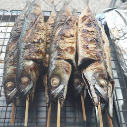 ปลาเผาหลังกองร้อย