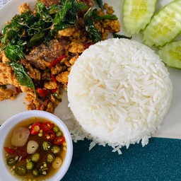 ข้าวไข่เยี่ยวม้ากระเพรากรอบไก่สับ