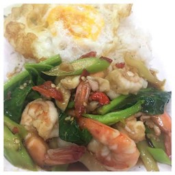 ผัดคะน้ากุ้ง - ราดข้าว