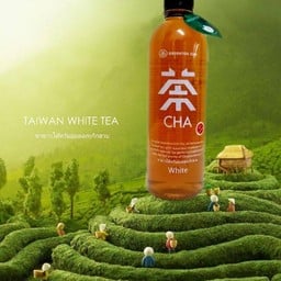 ชาเขียวไต้หวัน อบดอกเก๊กฮวย