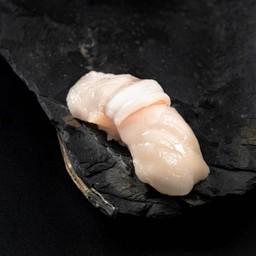 Hotate Nigiri