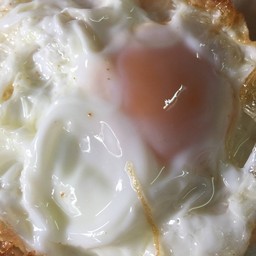 fried egg