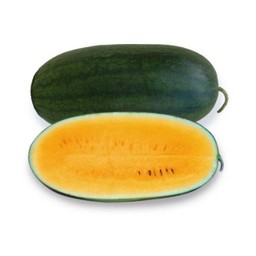 แตงโมเหลืองหวานกรอบฉ่ำแช่เย็นจัดพร้อมทาน