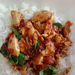 ข้าวกะเพราไก่