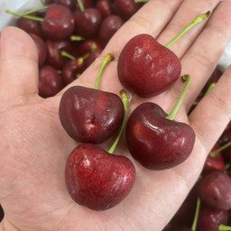 Cherry . 500 g เชอรี่