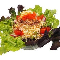 สลัดทูน่า