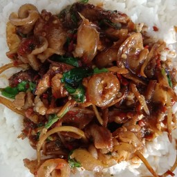 ข้าวกะเพราหมูป่า