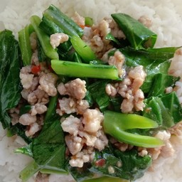 ข้าวคะน้าหมูสับ