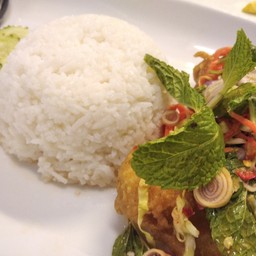 ข้าวปลาลุยสวน