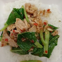 ข้าวคะน้าหมูชิ้น