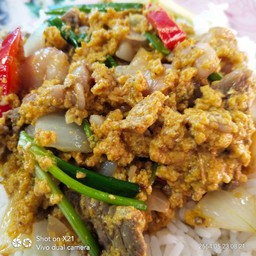 ผัดผงกระหรี่ไ่ก่-หมูราดข้าว