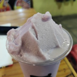 เผือกนมสด