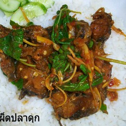 ข้าวราดผัดเผ็ดปลาดุกทอดกรอบ