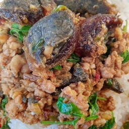 กะเพราไข่เยี่ยวม้าหมูสับราดข้าว