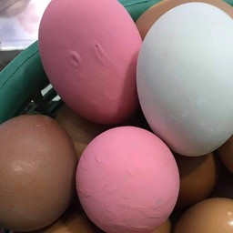 ไข่เยี่ยวม้า,ไข่เค็ม