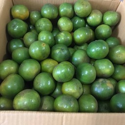 ผลไม้โมชิ