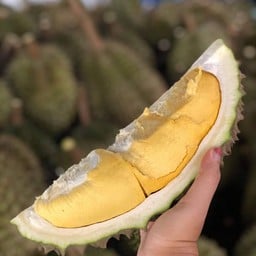 ร้านทุเรียนลูกหนามร่ำรวย1