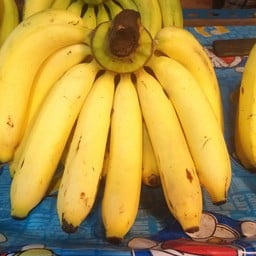 สกล ผลไม้ตามฤดูการ