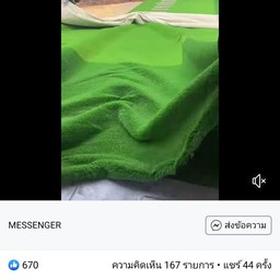 ก๋วยเตี๋ยวไก่มะระ ผู้ใหญ่ก้อง
