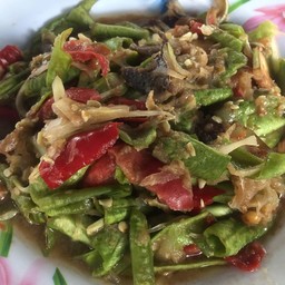 ส้มตำใต้ต้น (คุณจันทร์)