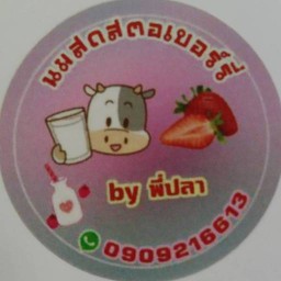 พี่ปลา นมสดสตรอเบอรี่