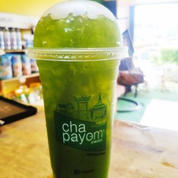 ชาเขียวโออิชิเย็น