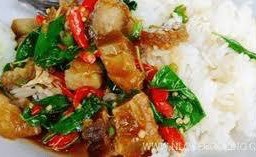 ข้าว กะเพราหมูกรอบ