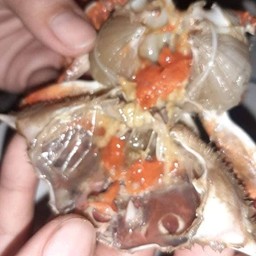 ทรงเอ ทะเลเผา