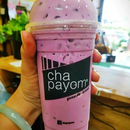 เผือกนมสดเย็น