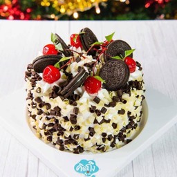 Fresh Chocolate Cake 1.5 P.