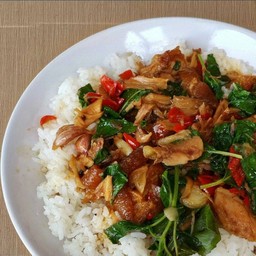 กะเพราขาหมูราดข้าว