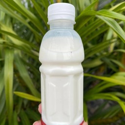 สตอเบอรี่นมสด