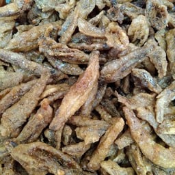 +ปลากรอบ