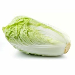 ผักกาดขาว