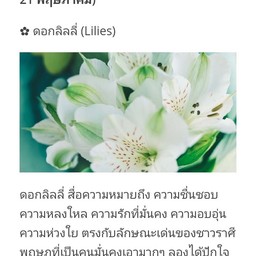ส้มตำสี่แยกสาขา1