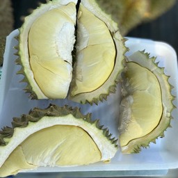 จอม ทุเรียนหมอนทองเกรดเอ