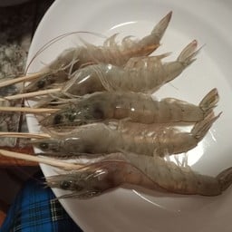 ลาบนำ้ตกไทญ้อ ประเวศ