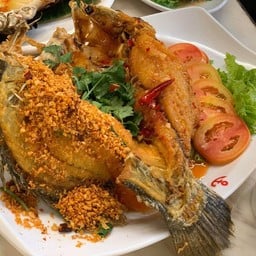 ปลากะพงสองใจตามไซส์
