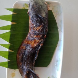 ปลาดุกย่าง