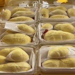 ทุเรียนหมอนทองแกะเนื้อเกรดพรีเมี่ยม / รามอินทรา