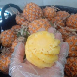 BB สับปะรดภูแล