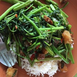 ผัดผักบุ้ง