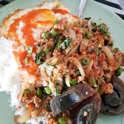 ผัดกะเพราไข่เยี่ยวม้าราดข้าว