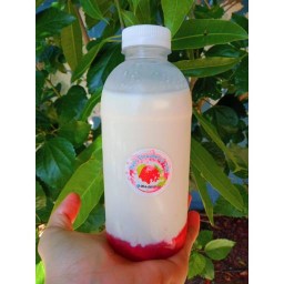 ดื่มนม ดื่มนม