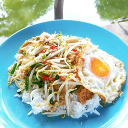 ผัดถั่วงอก ราดข้าว